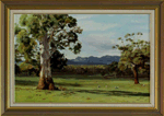 Jane Majkut Australian Landscape (Oil)